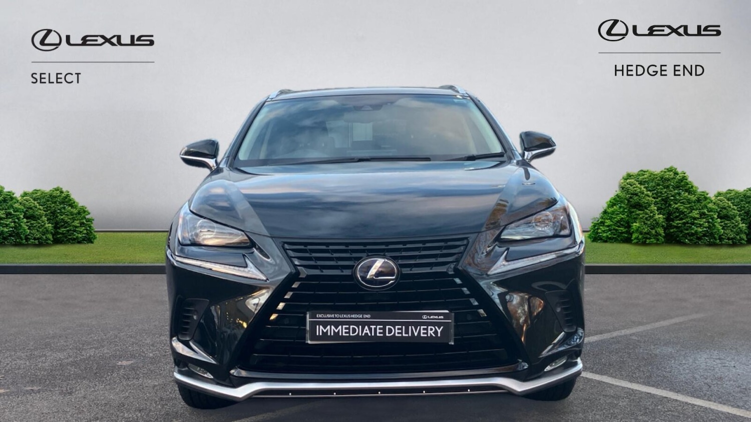 Used Lexus NX 2021 for sale - 76681424: Photo 7