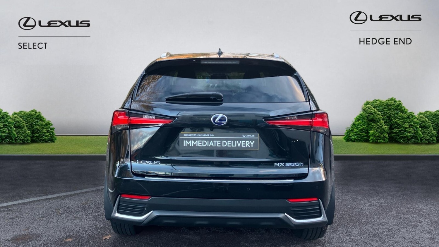 Used Lexus NX 2021 for sale - 76681424: Photo 8