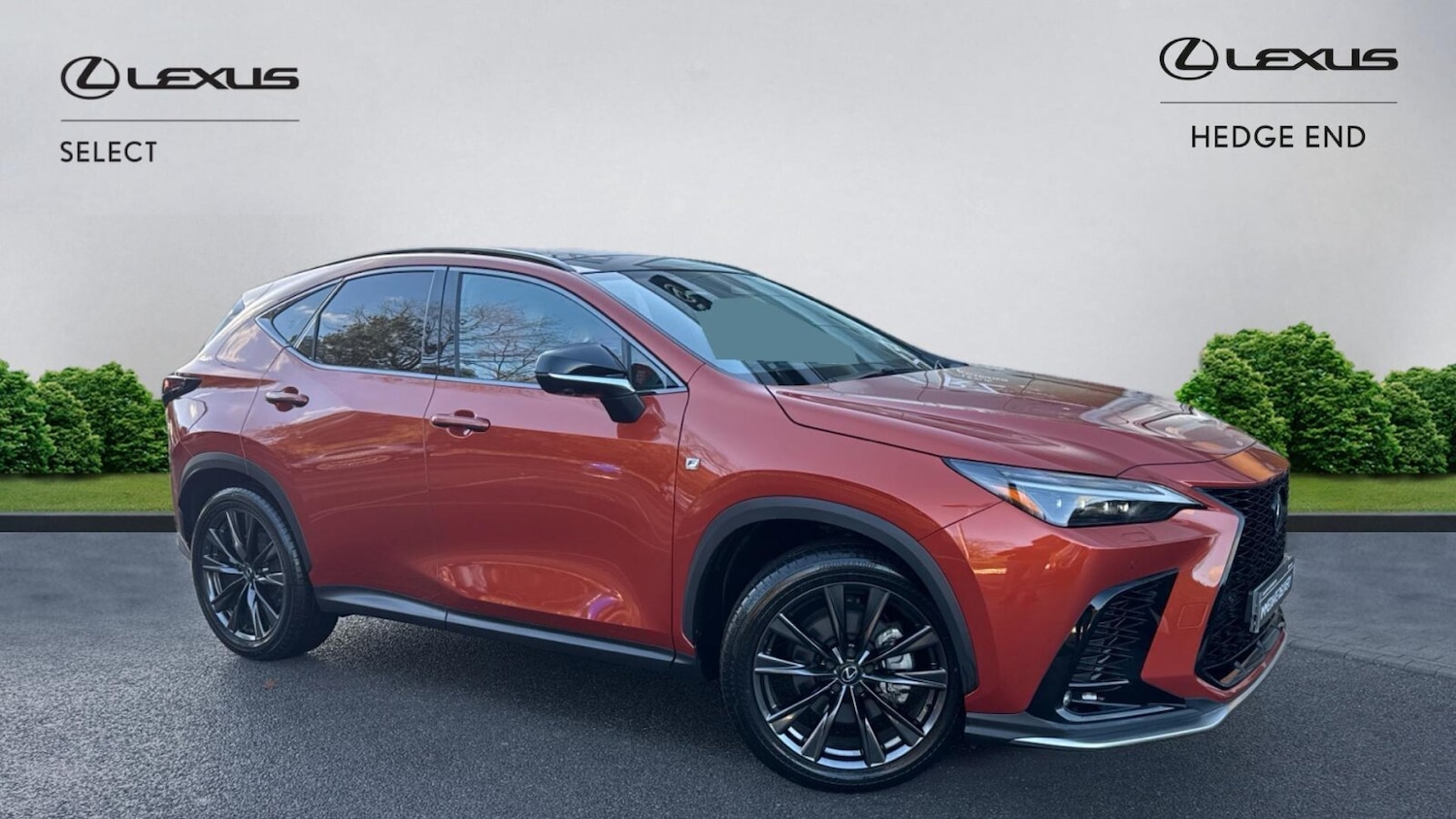 Used Lexus NX 2024 for sale - 76677344: Photo 1