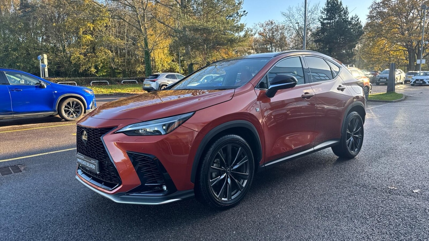 Used Lexus NX 2024 for sale - 76677344: Photo 17