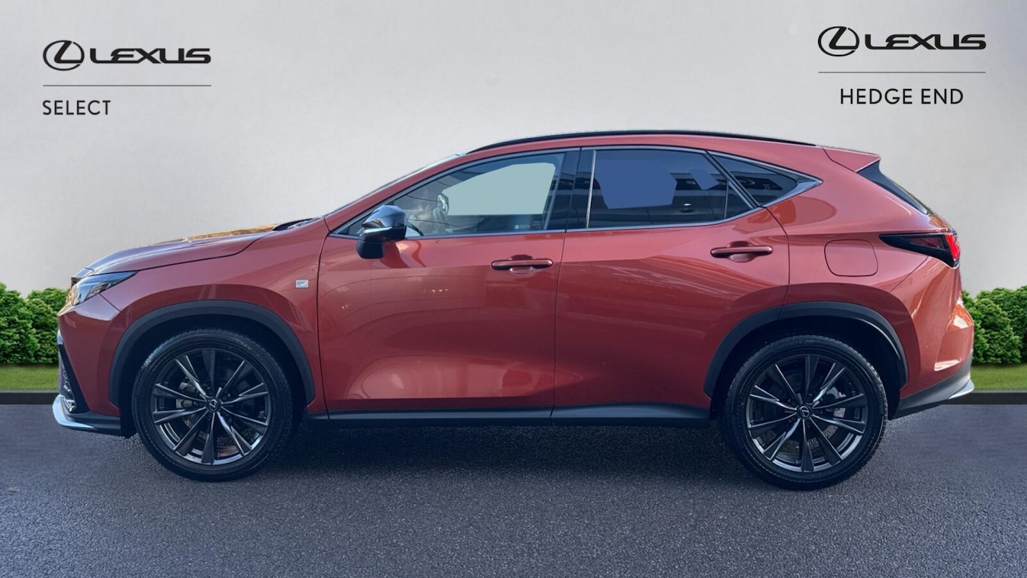 Used Lexus NX 2024 for sale - 76677344: Photo 3