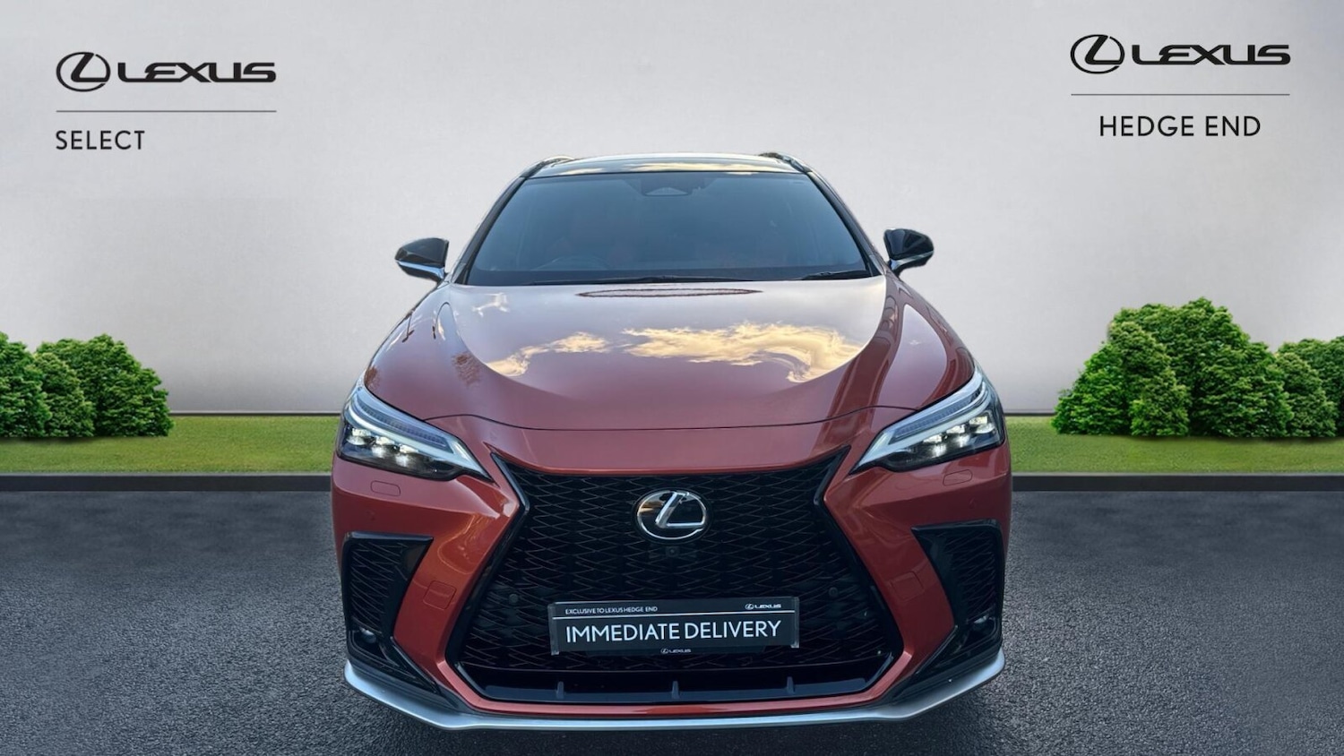 Used Lexus NX 2024 for sale - 76677344: Photo 4