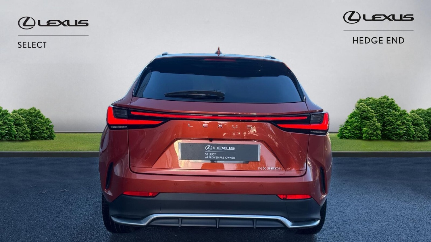 Used Lexus NX 2024 for sale - 76677344: Photo 5