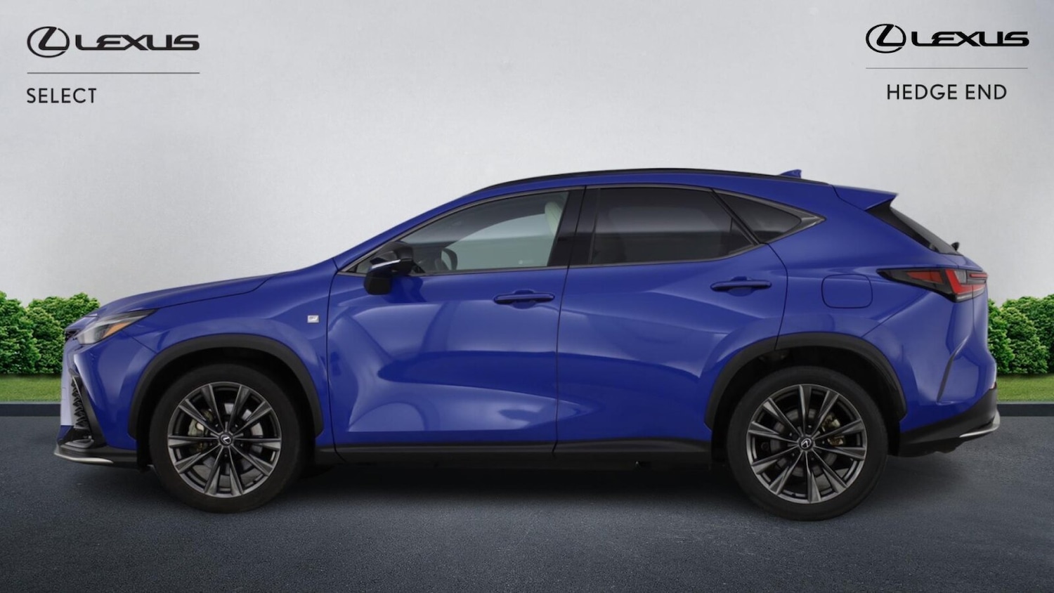 Used Lexus NX 2024 for sale - 77691408: Photo 6