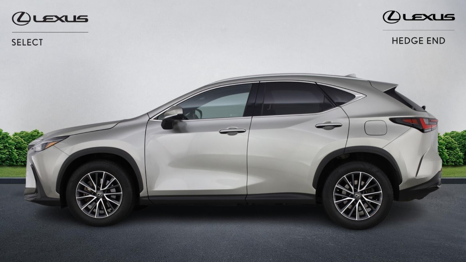Used Lexus NX 2023 for sale - 78202362: Photo 3