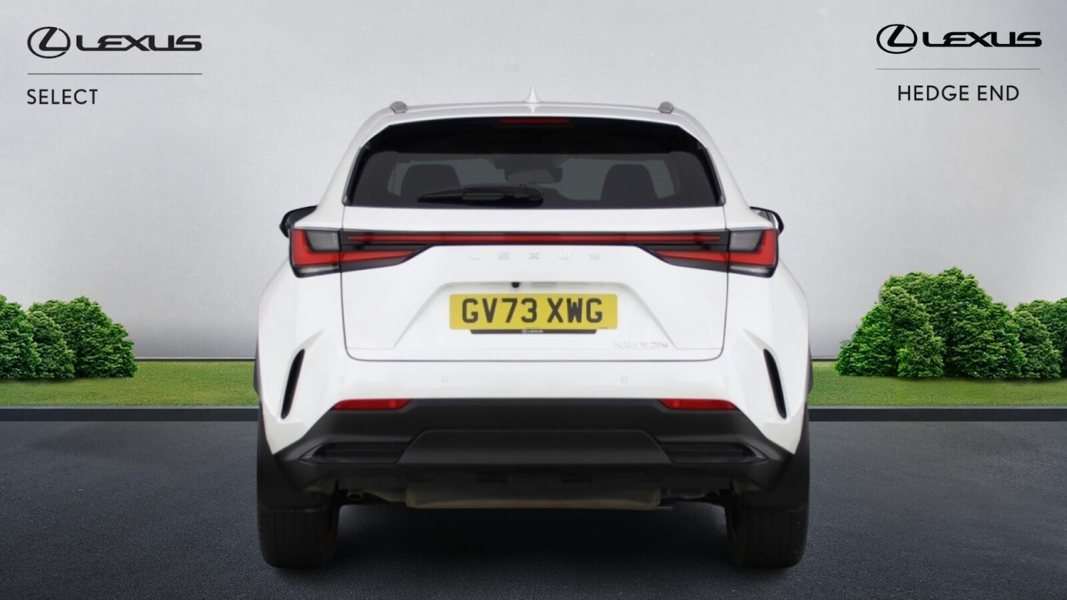 Used Lexus NX 2023 for sale - 77228321: Photo 10