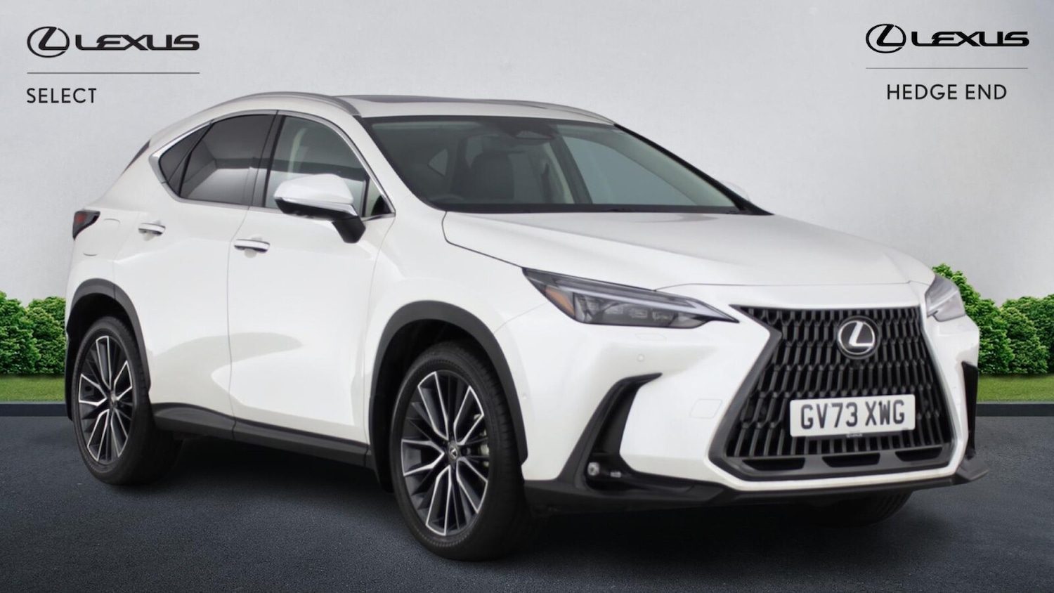 Used Lexus NX 2023 for sale - 77228321: Photo 6