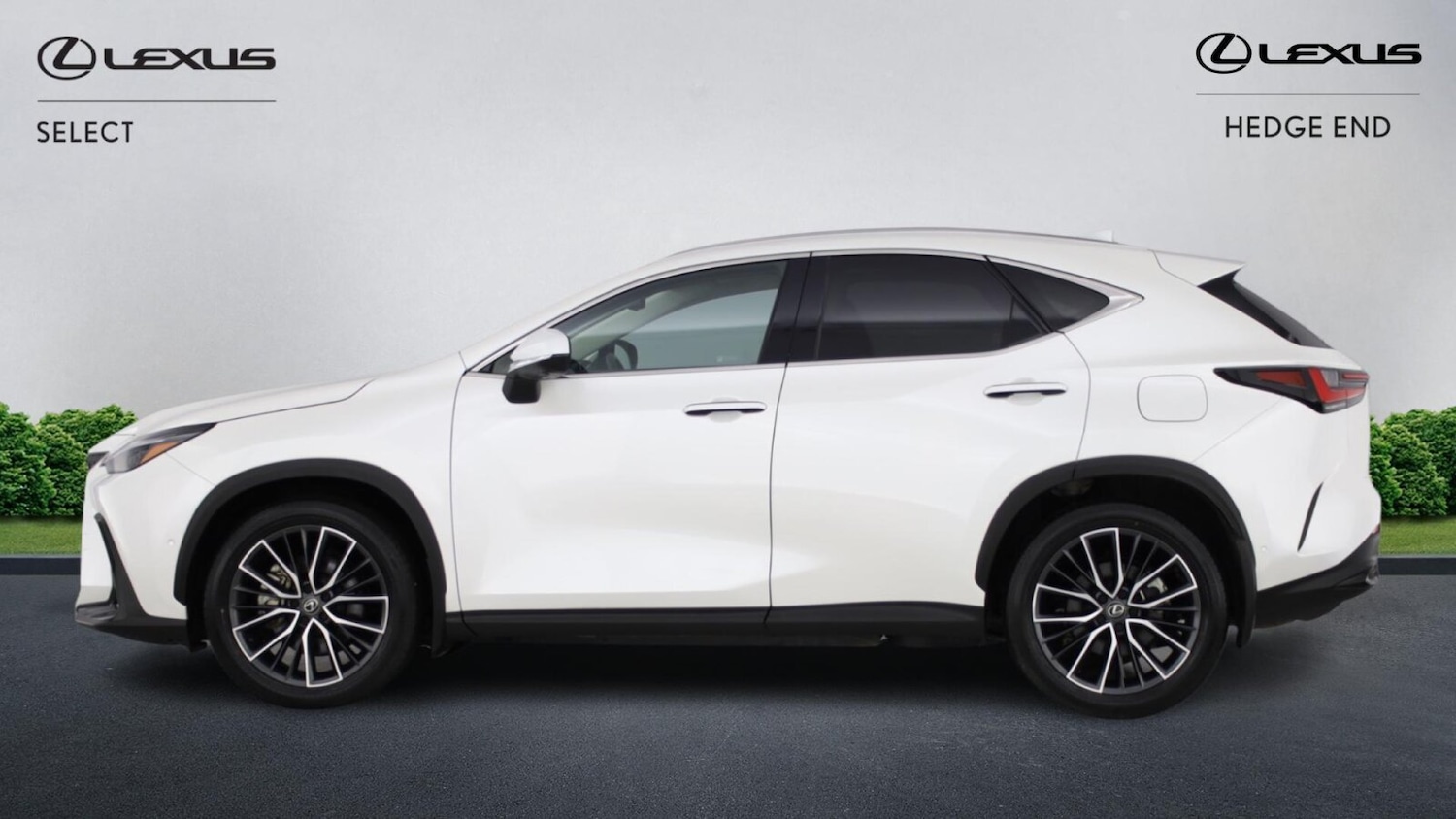 Used Lexus NX 2023 for sale - 77228321: Photo 8