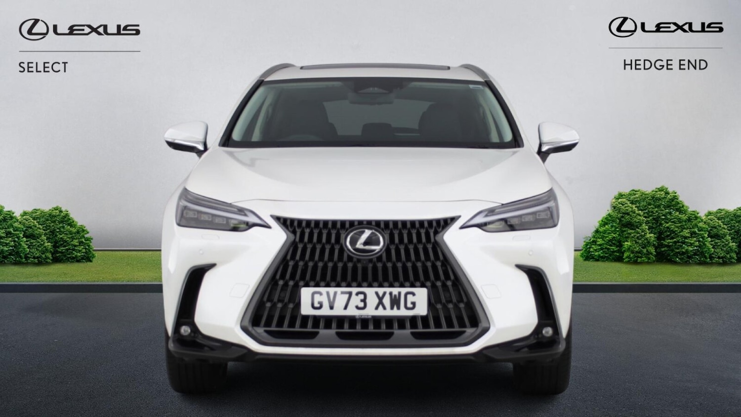 Used Lexus NX 2023 for sale - 77228321: Photo 9