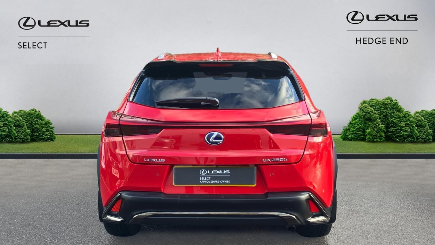 Used Lexus UX 2019 for sale - 76673836: Photo 5