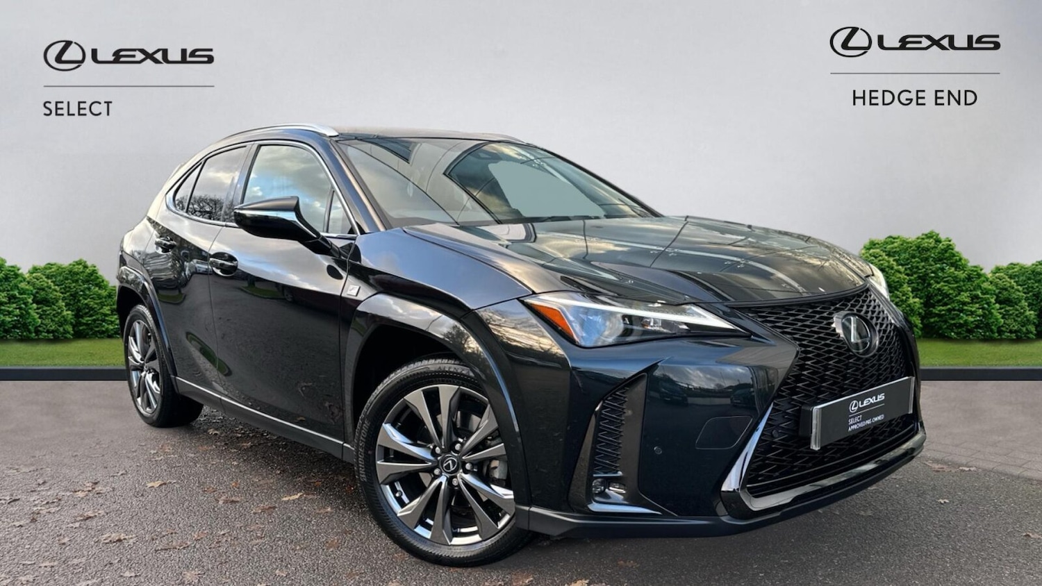Used Lexus UX 2022 for sale - 77088103: Photo 1