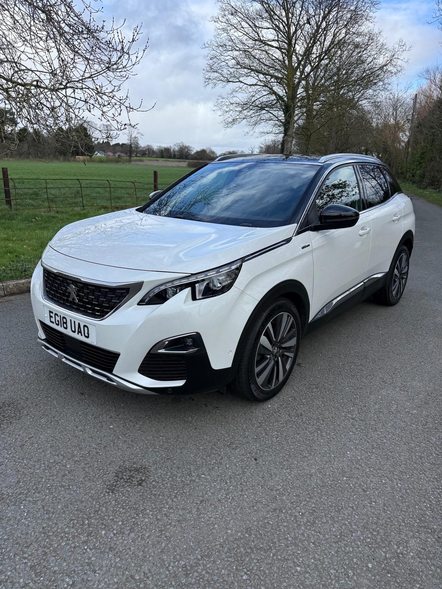 Used Peugeot 3008 2018 for sale - 77904213: Photo 11