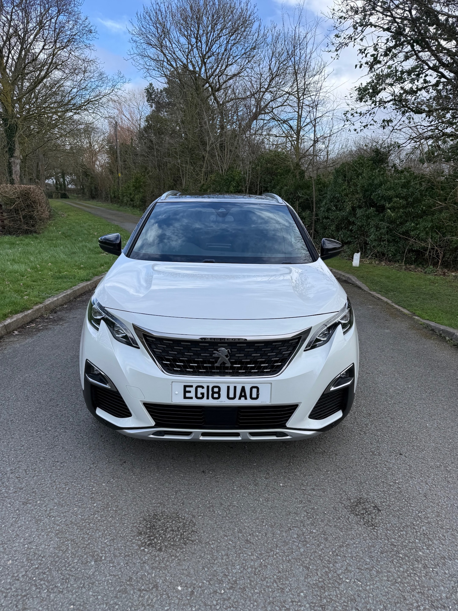 Used Peugeot 3008 2018 for sale - 77904213: Photo 12