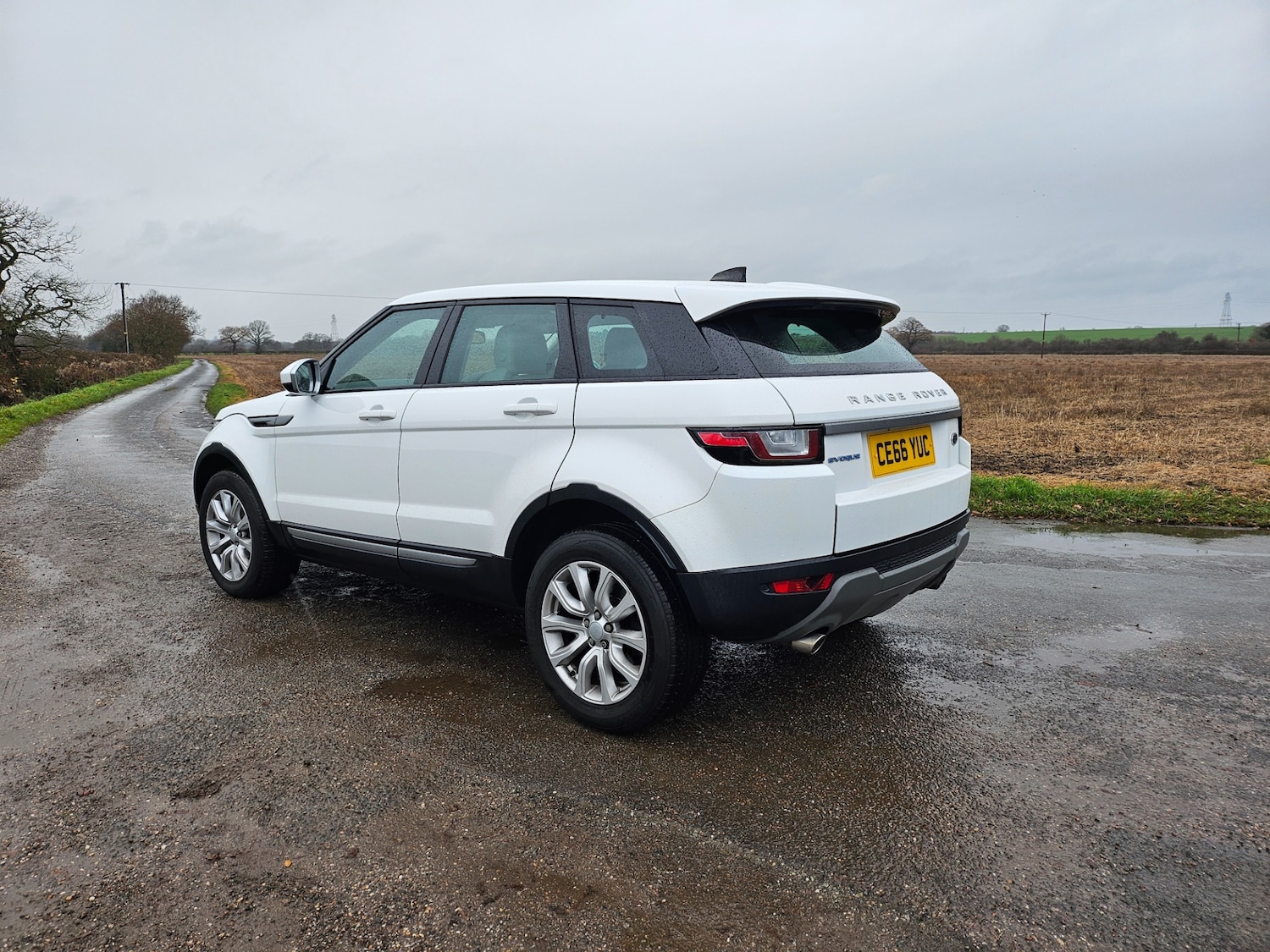Used Land Rover Range Rover Evoque 2016 for sale - 77059131: Photo 3