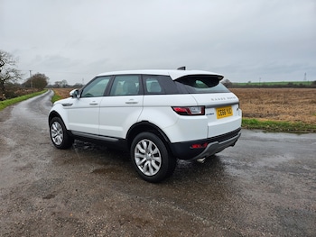 Used Land Rover Range Rover Evoque 2016 for sale - 77059131: Photo