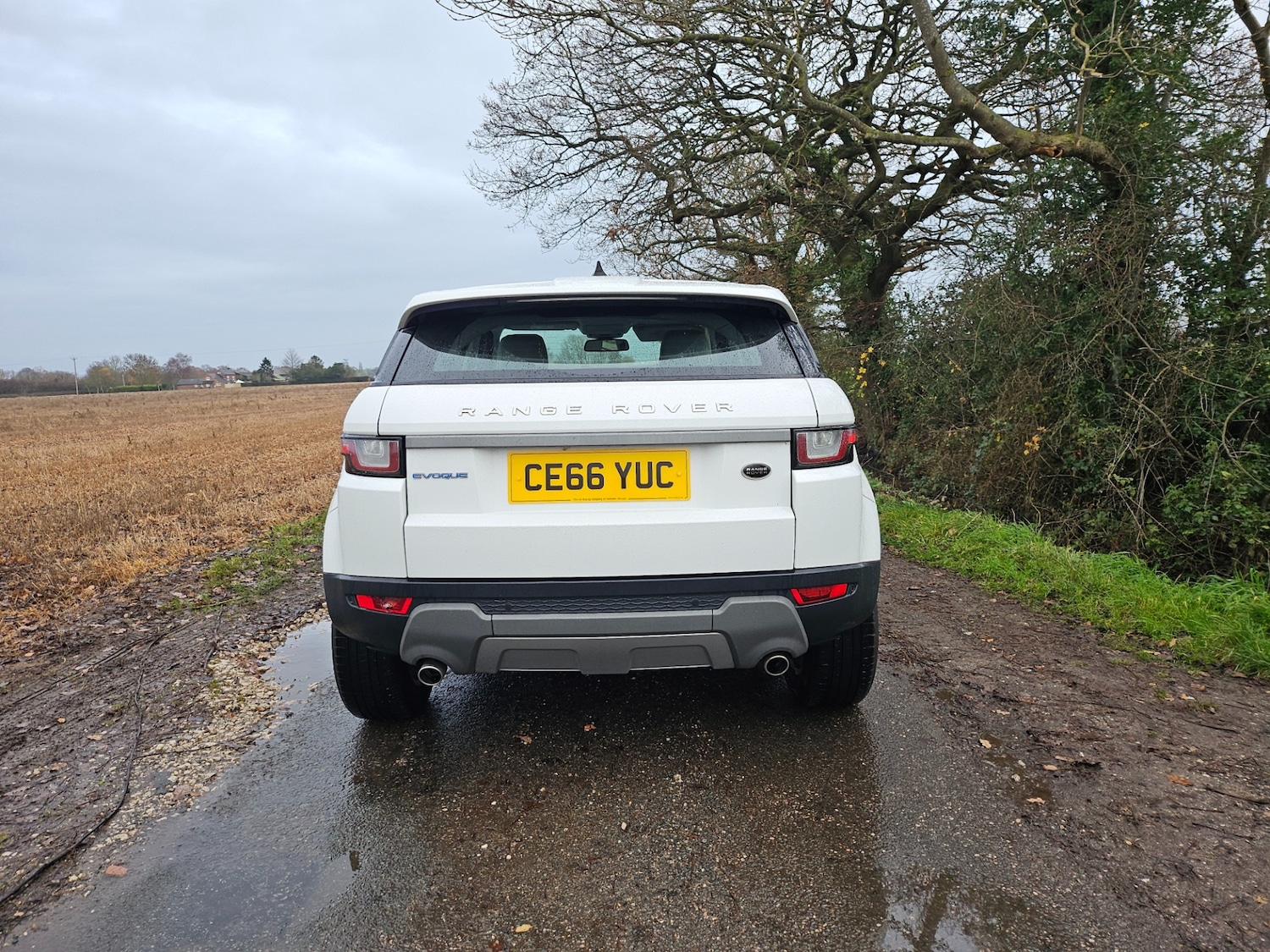 Used Land Rover Range Rover Evoque 2016 for sale - 77059131: Photo 7