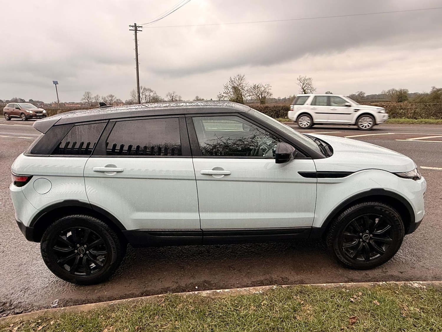 Used Land Rover Range Rover Evoque 2016 for sale - 77614671: Photo 8