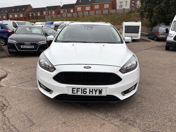 Used Ford Focus 2016 for sale - 76294532: Photo 2