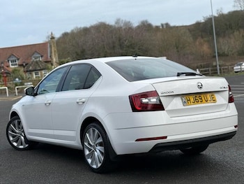 Used Skoda Octavia 2019 for sale - 78715865: Photo