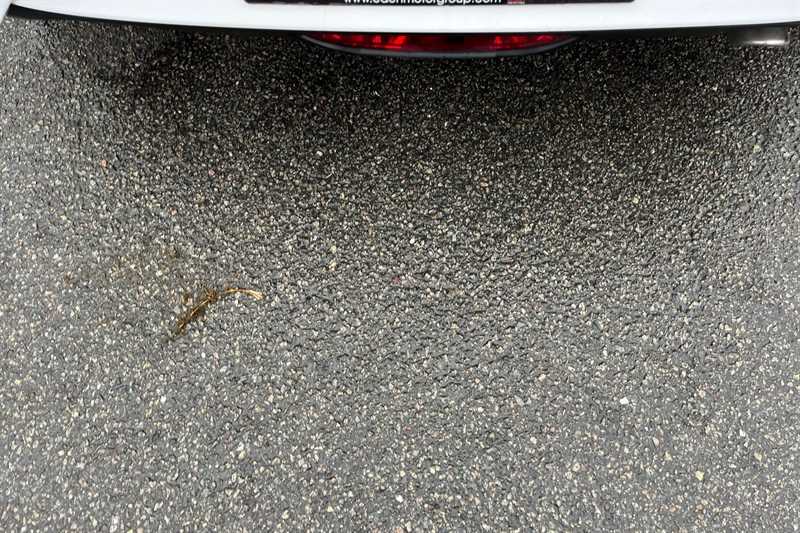 Used Vauxhall Corsa 2020 for sale - 76410742: Photo 48