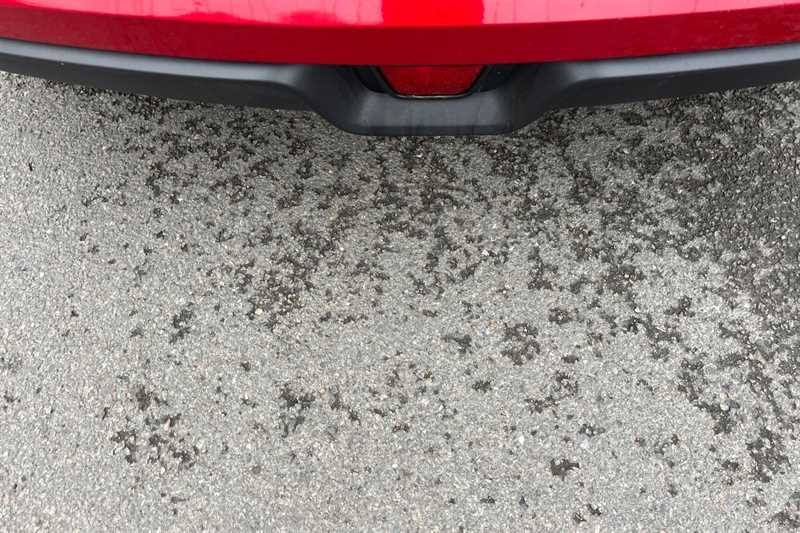 Used GWM Funky Cat 2023 for sale - 77146981: Photo 46