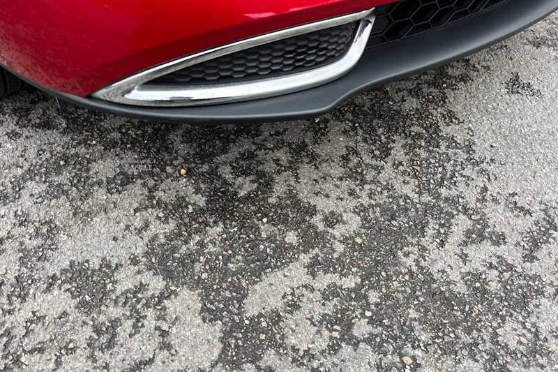 Used GWM Funky Cat 2023 for sale - 77146981: Photo 53