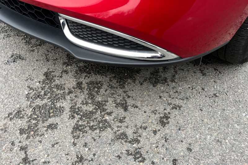 Used GWM Funky Cat 2023 for sale - 77146981: Photo 55