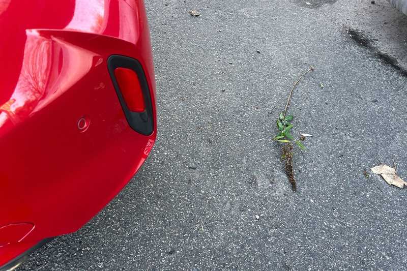 Used Vauxhall Corsa 2023 for sale - 77146596: Photo 51