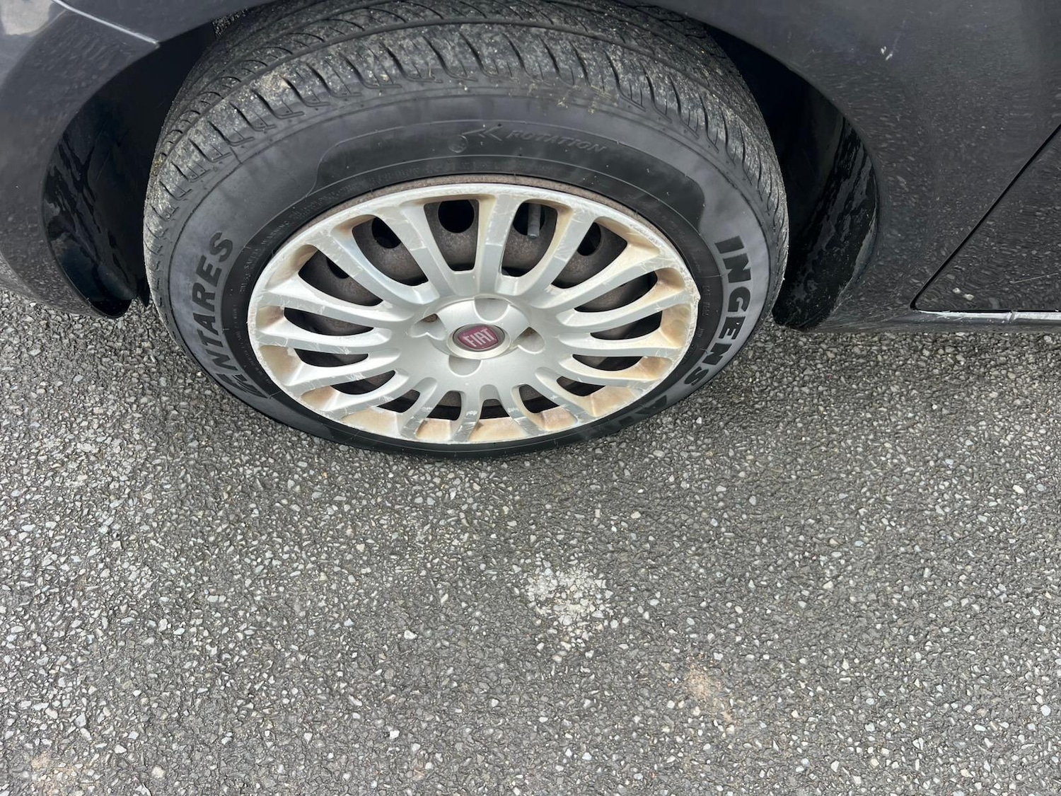 Used Fiat Punto for sale - 76824271: Photo 19