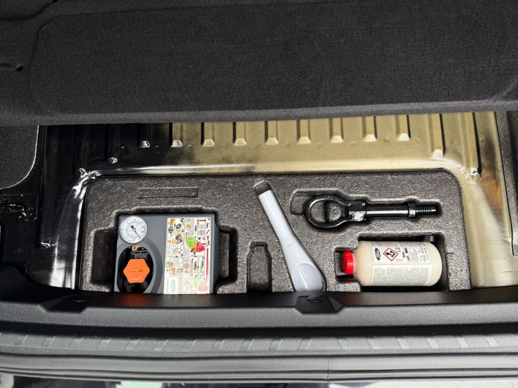 Used Ford Ecosport 2019 for sale - 76604651: Photo 44