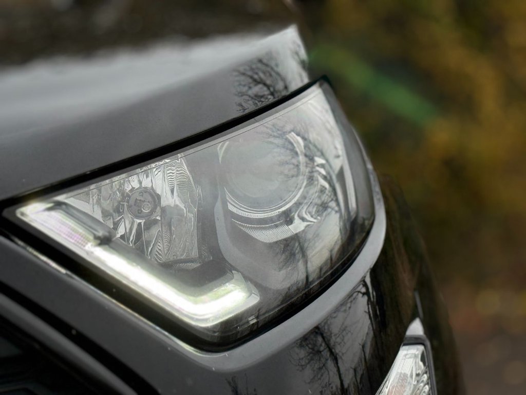 Used Ford Ecosport 2019 for sale - 76604651: Photo 50