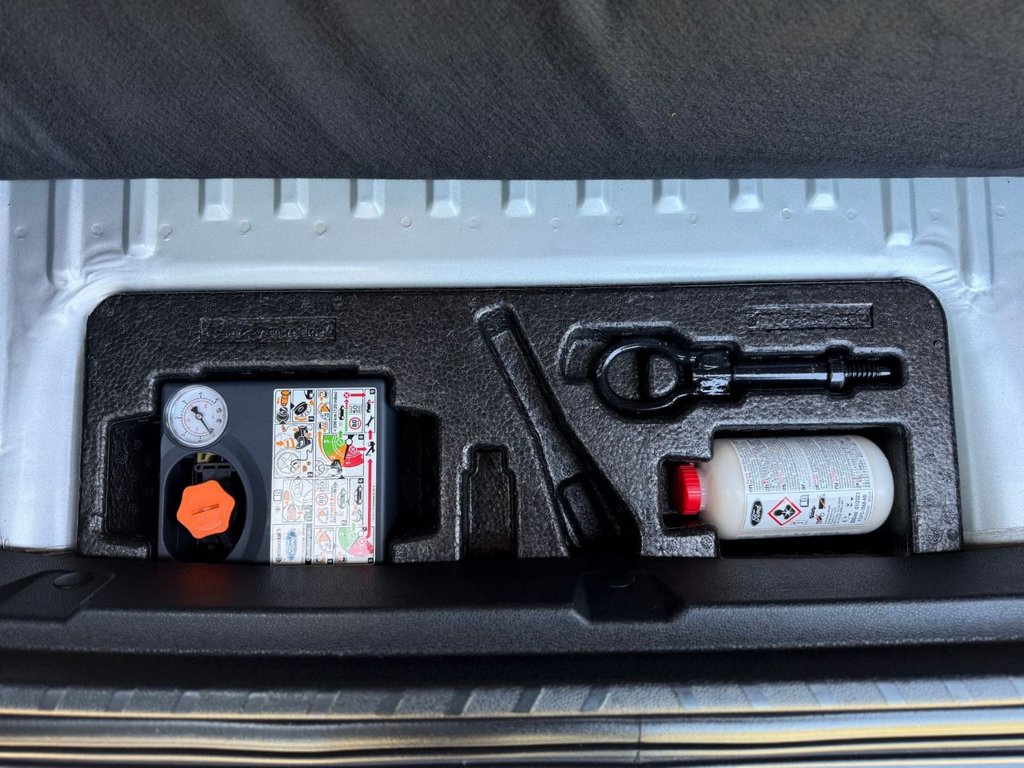 Used Ford Ecosport 2019 for sale - 77666698: Photo 48