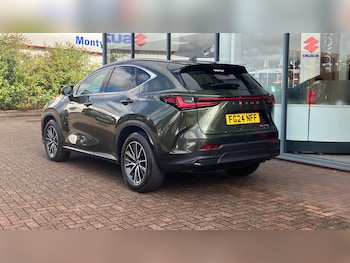 Used Lexus NX 2024 for sale - 75835464: Photo