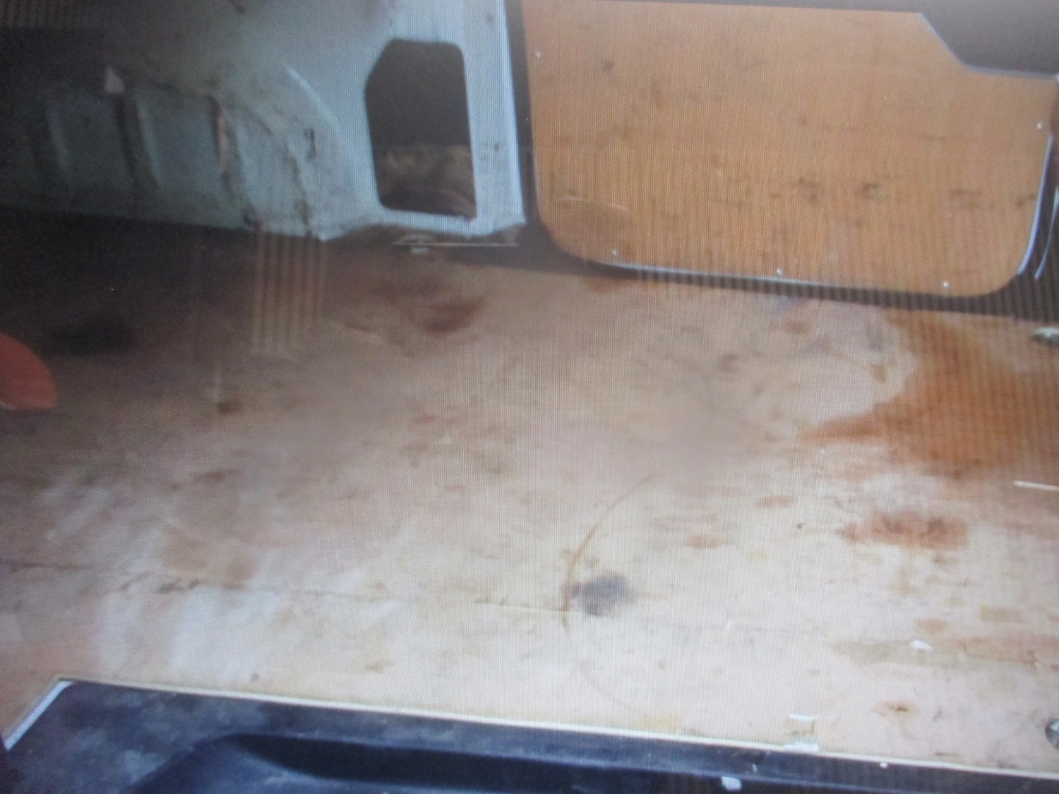 Used Peugeot Expert 2021 for sale - 76835157: Photo 13