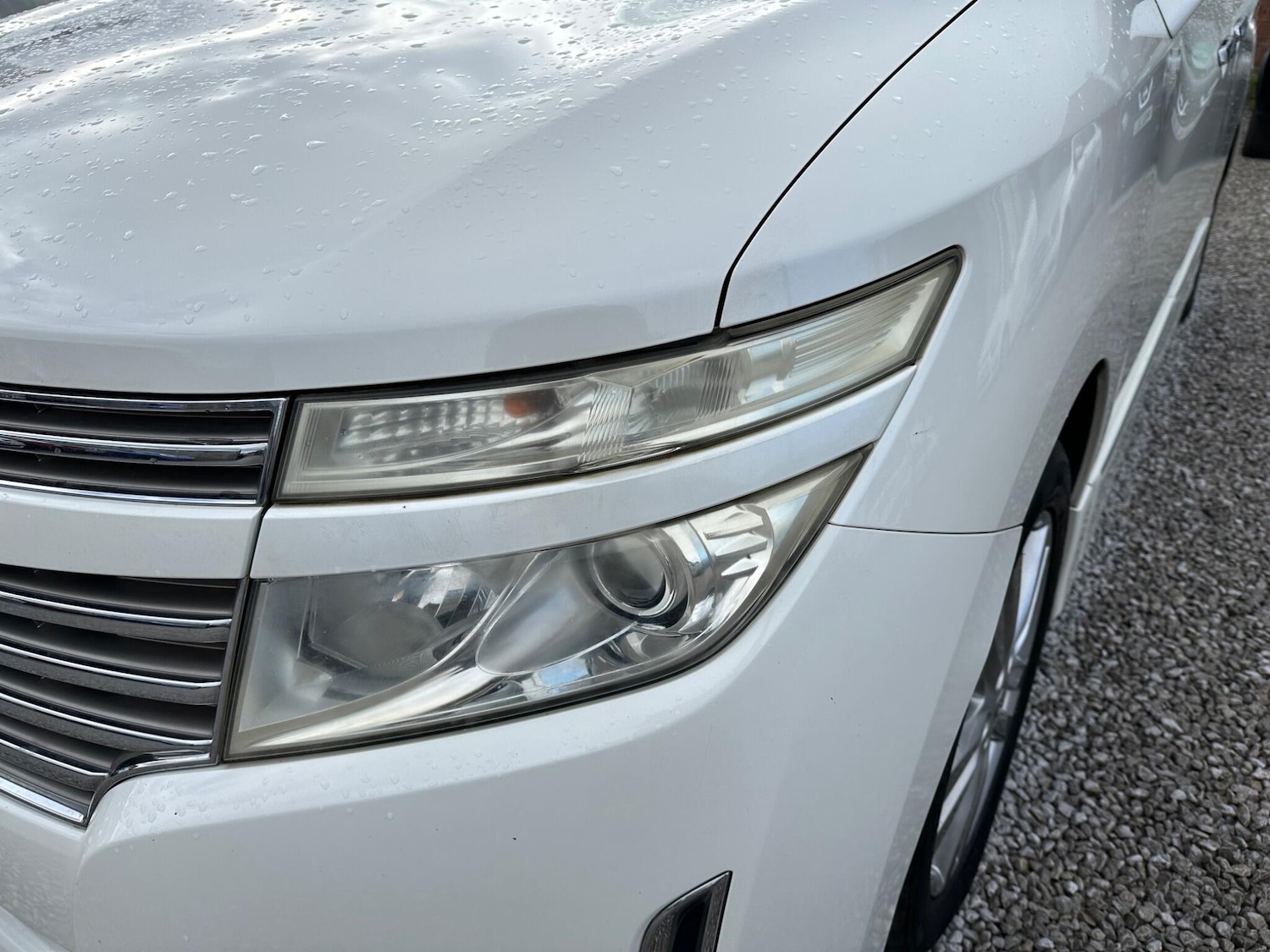 Used Nissan Elgrand 2023 for sale - 78034061: Photo 55