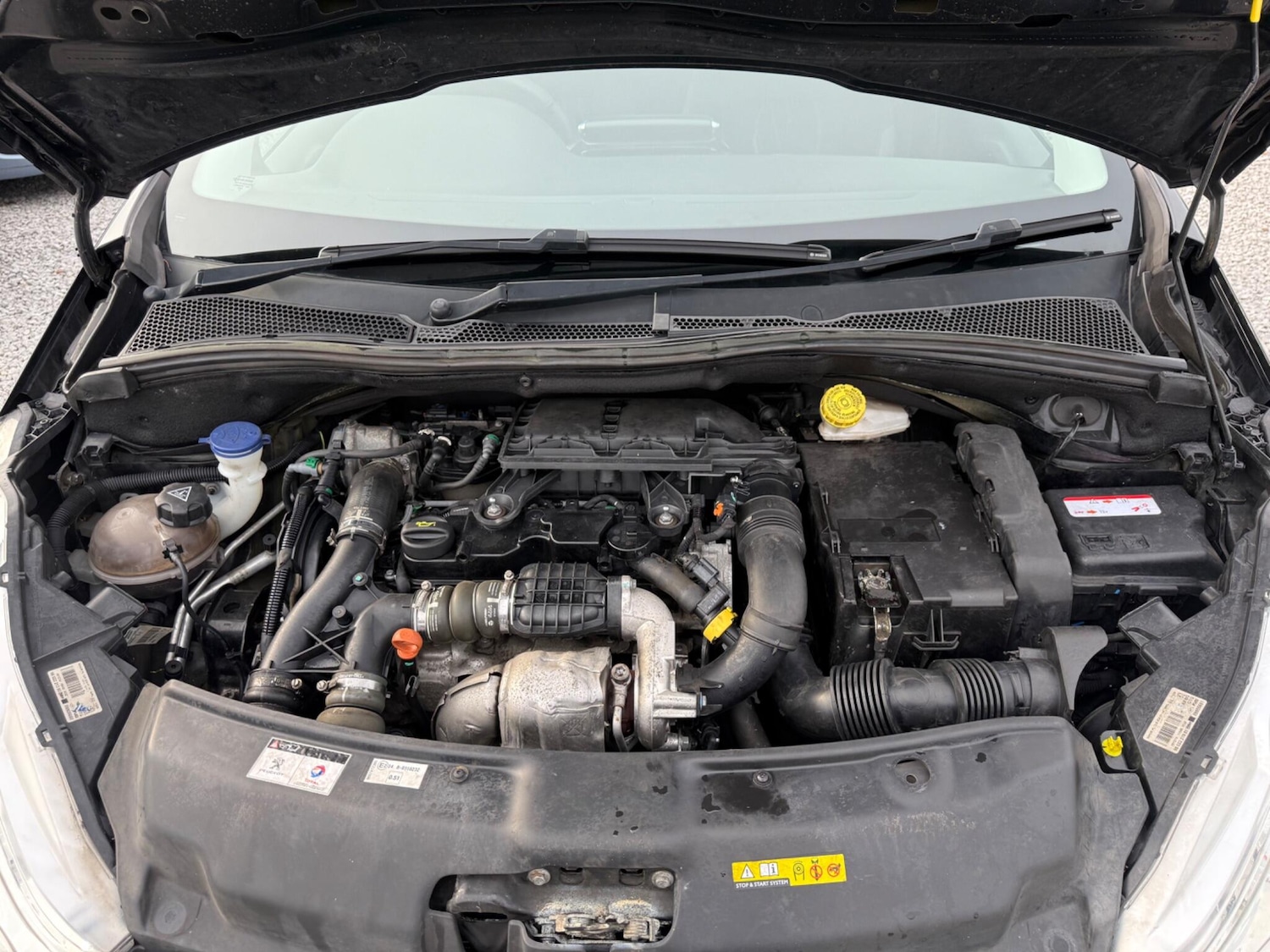 Used Peugeot 208 2015 for sale - 76522465: Photo 53