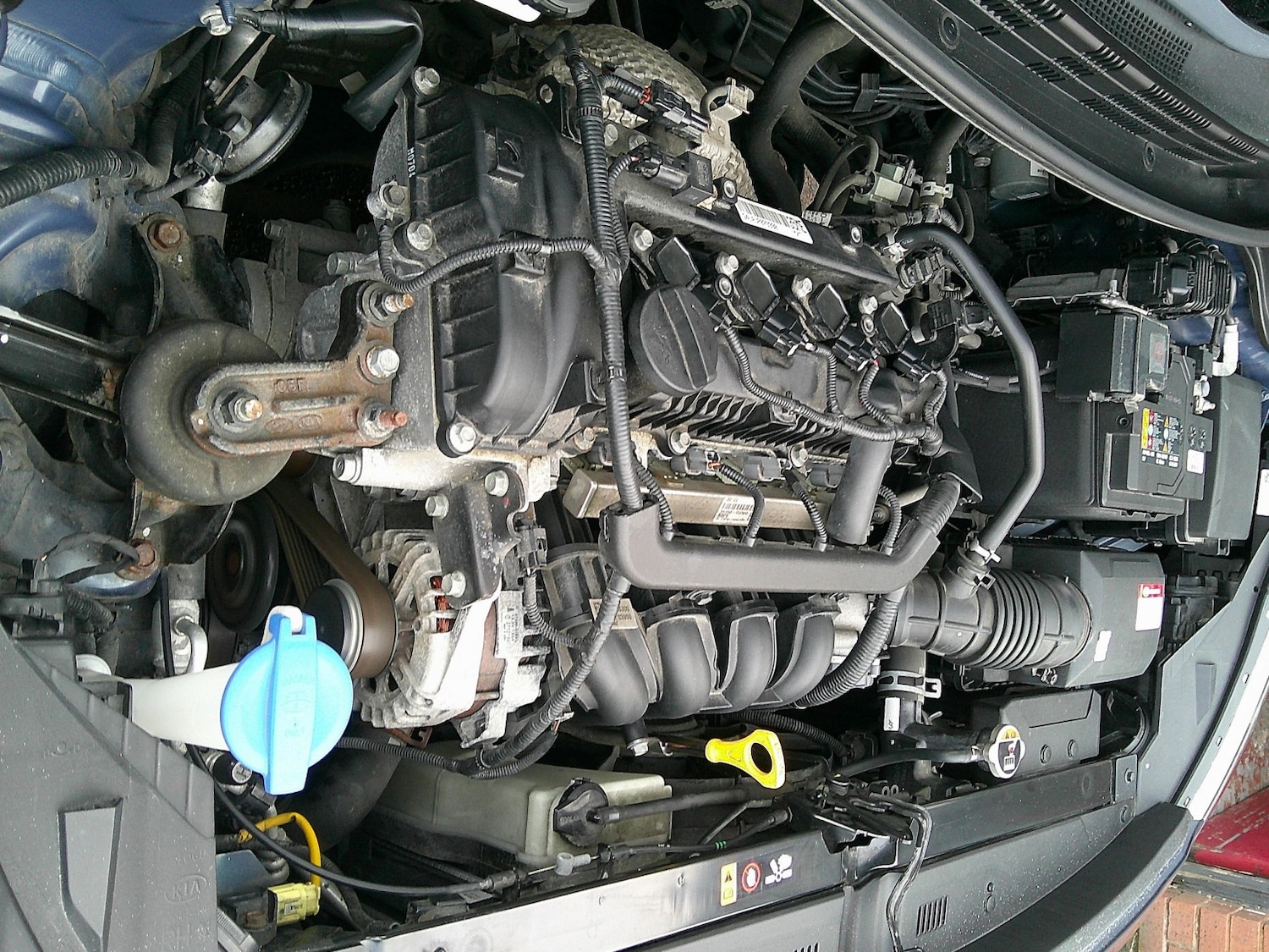 Used Kia Rio 2018 for sale - 77213446: Photo 45