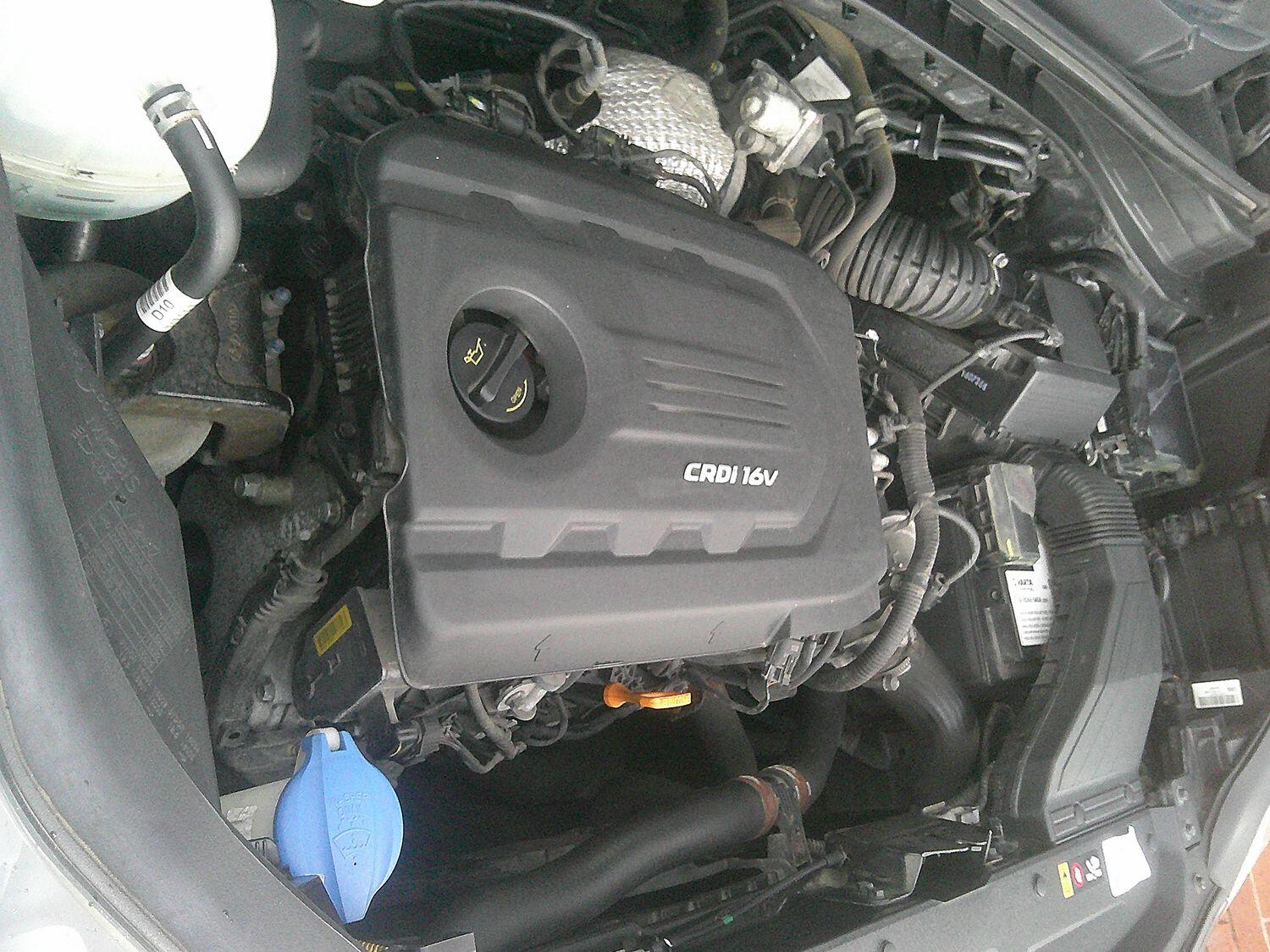 Used Kia Sportage 2016 for sale - 76769323: Photo 43