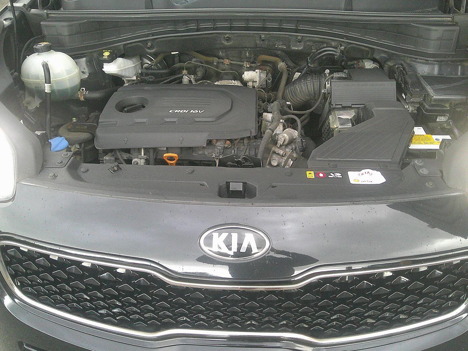 Used Kia Sportage 2016 for sale - 76769323: Photo 44