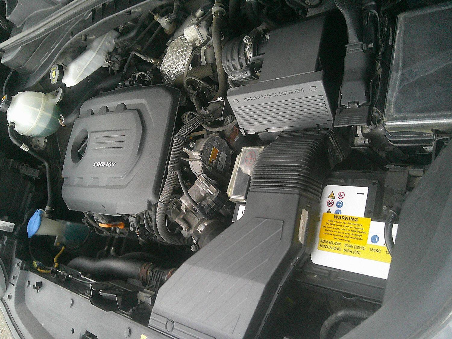 Used Kia Sportage 2016 for sale - 76769323: Photo 45