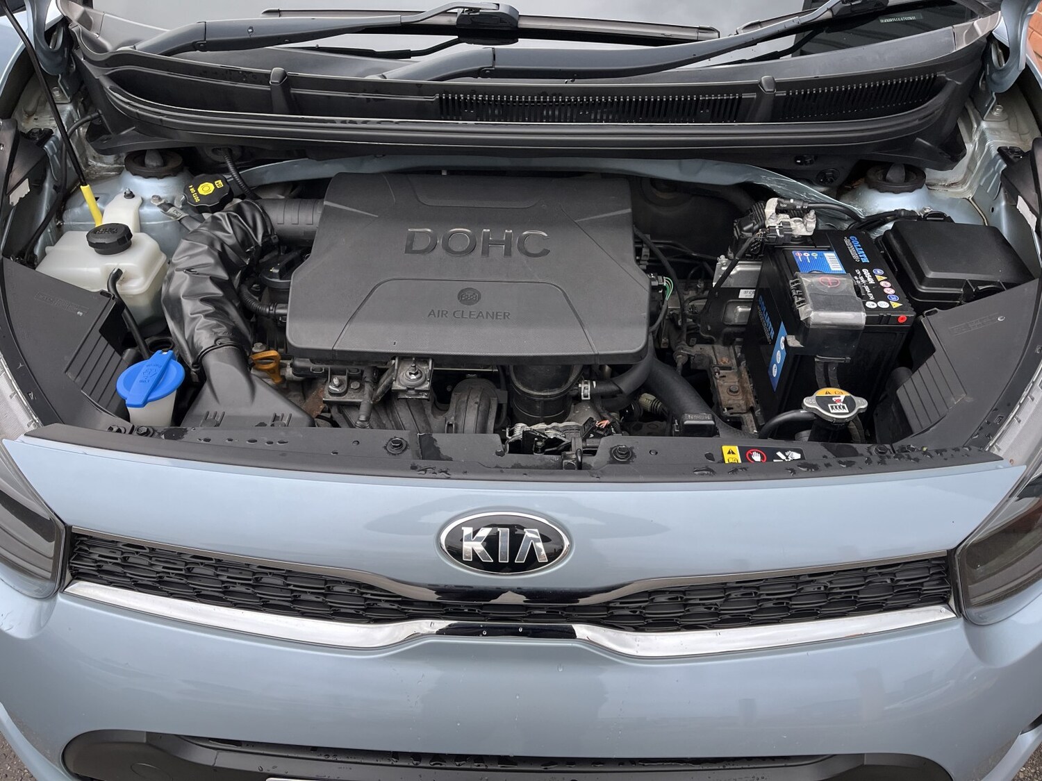 Used Kia Picanto 2019 for sale - 77864902: Photo 41