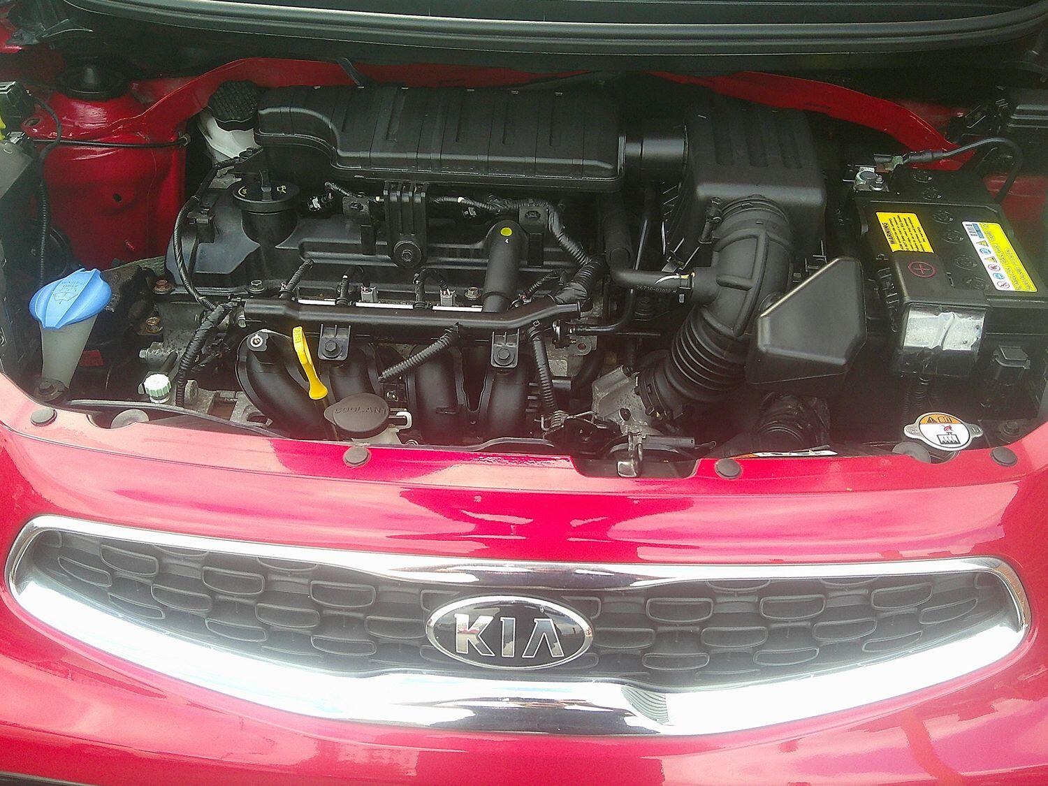 Used Kia Picanto 2016 for sale - 77342702: Photo 44