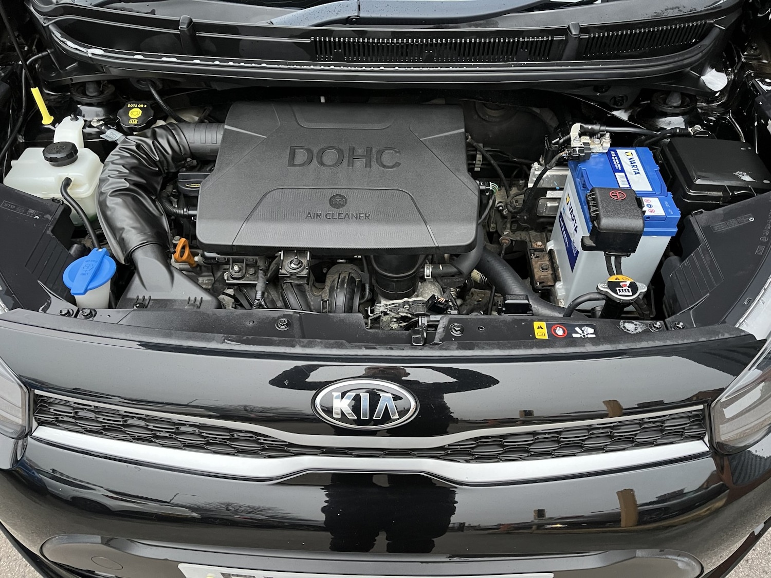 Used Kia Picanto 2019 for sale - 77370603: Photo 37