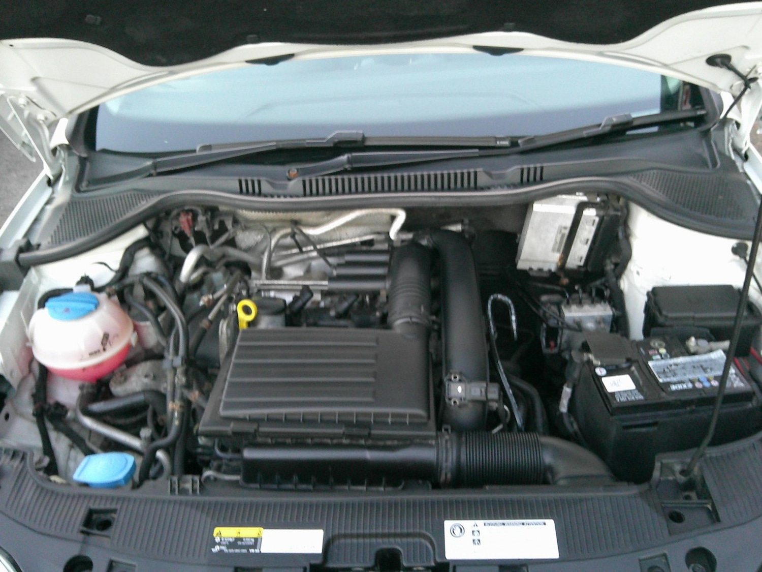 Used SEAT Ibiza 2016 for sale - 76836983: Photo 43