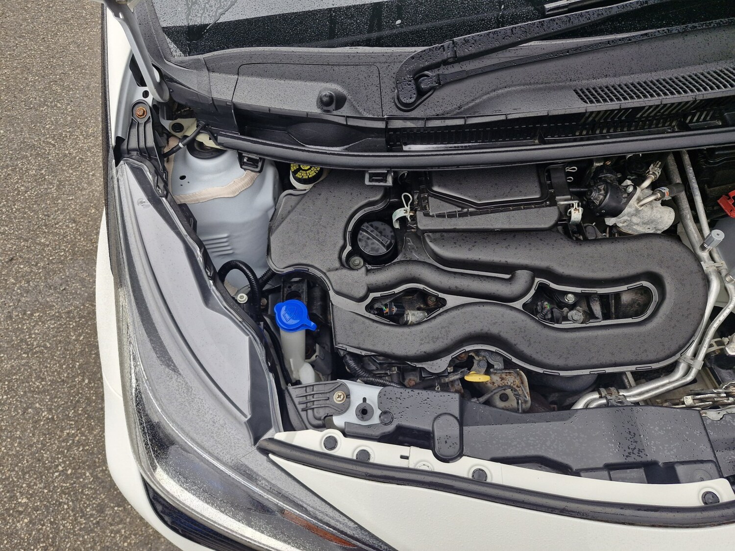 Used Toyota AYGO 2020 for sale - 77864900: Photo 59