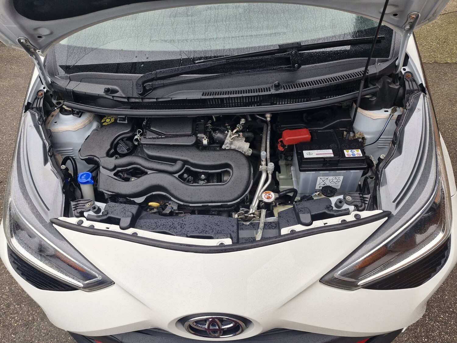 Used Toyota AYGO 2020 for sale - 77864900: Photo 60