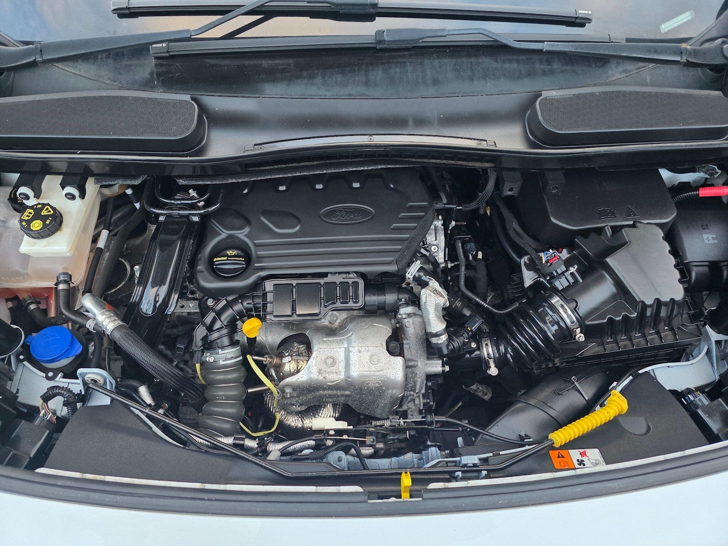 Used Ford Transit Connect for sale - 77824066: Photo 21