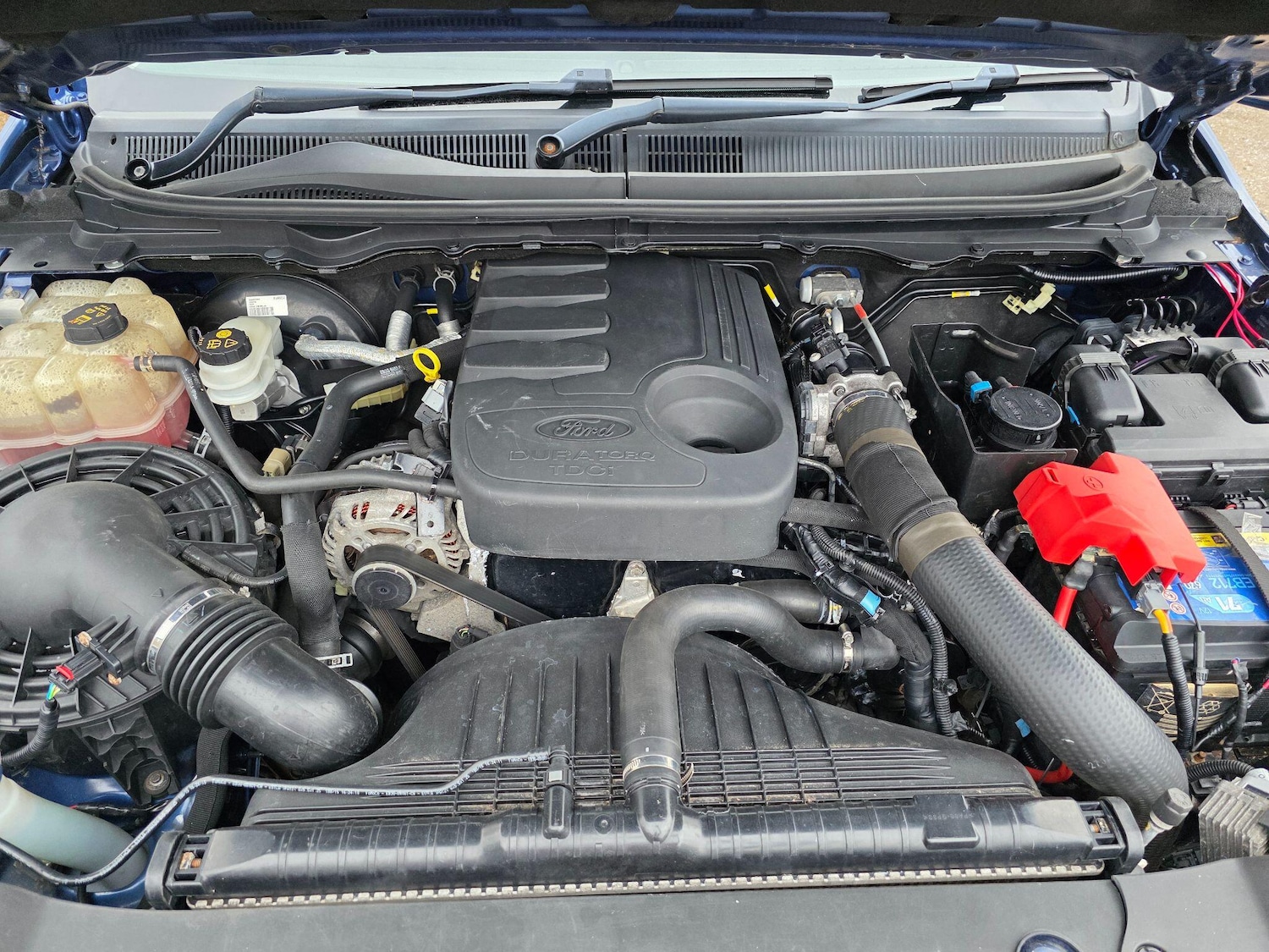 Used Ford Ranger 2016 for sale - 76094253: Photo 23