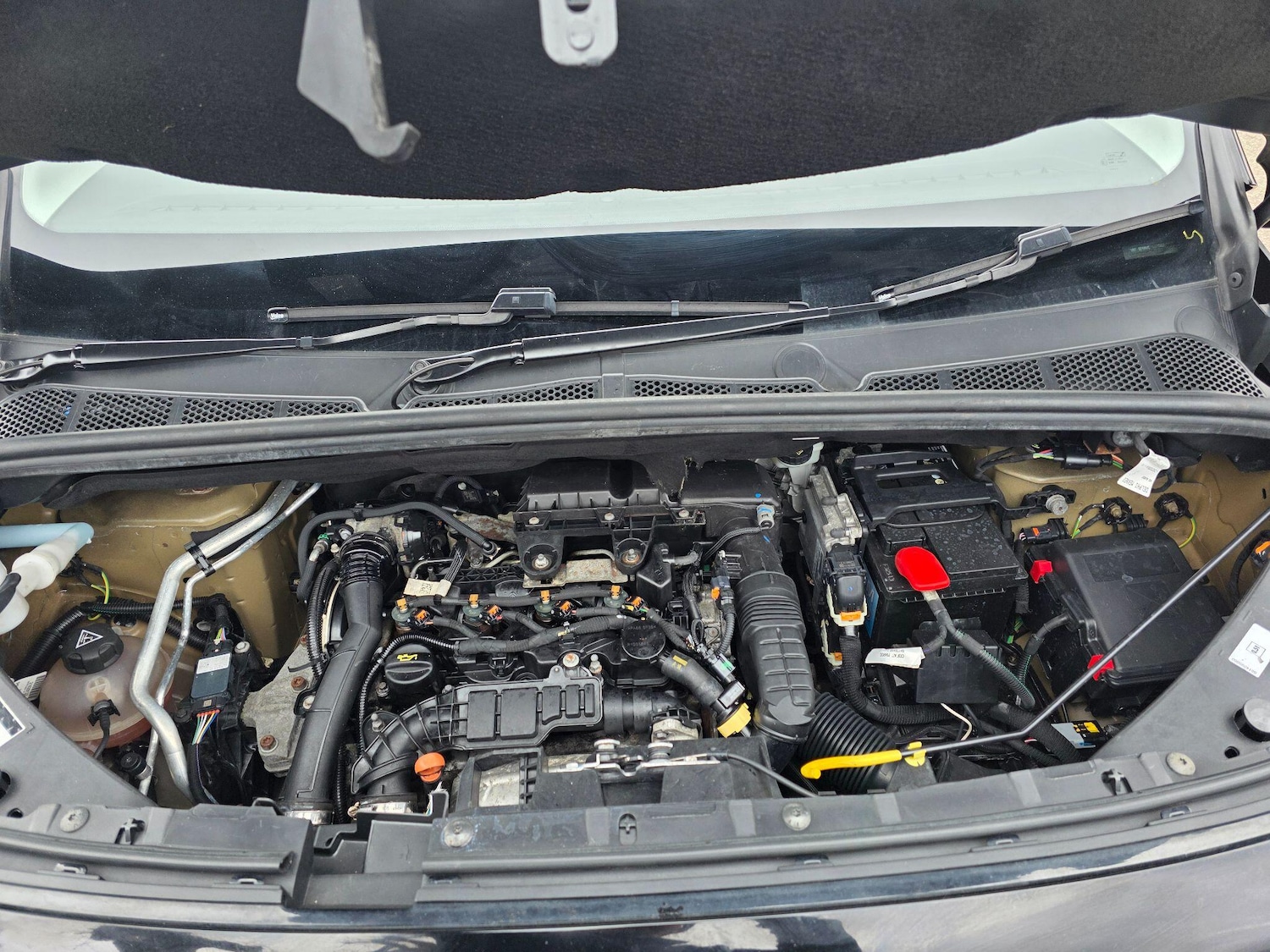 Used Citroen Berlingo for sale - 77854260: Photo 29