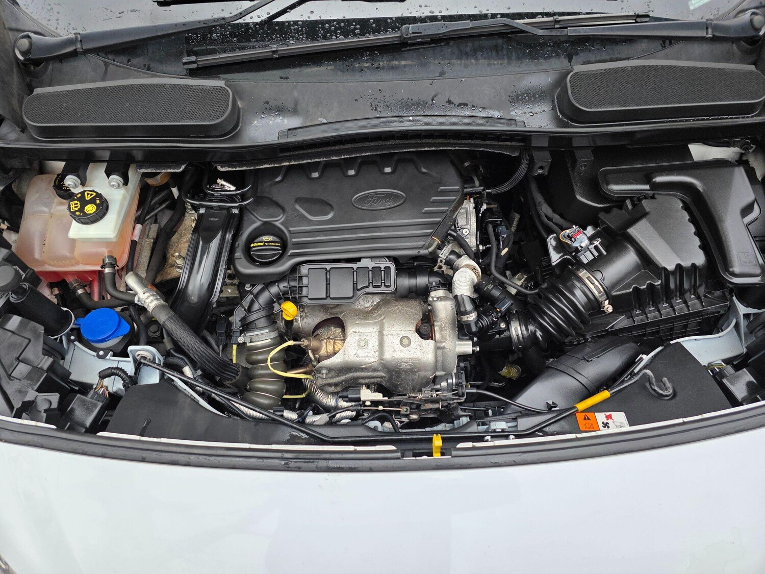 Used Ford Transit Connect 2019 for sale - 77696180: Photo 33